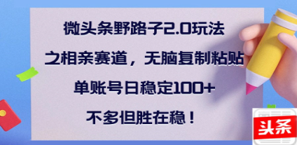 全网首发微头条野路子2.0玩法之相亲赛道,无脑搬砖复制粘贴,单账号日稳定300+保姆级教程 - 臻优资源网