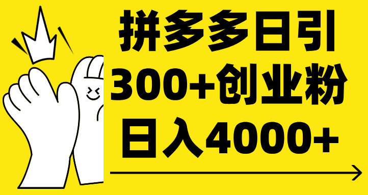 拼多多日引300+创业粉 日入4000+ - 臻优资源网