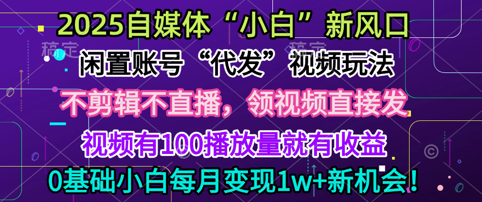 2025每月躺赚5w+新机会,闲置视频账号一键代发玩法,0粉不实名不剪辑,领了视频直接发,0基础小白也能日入300+ - 臻优资源网