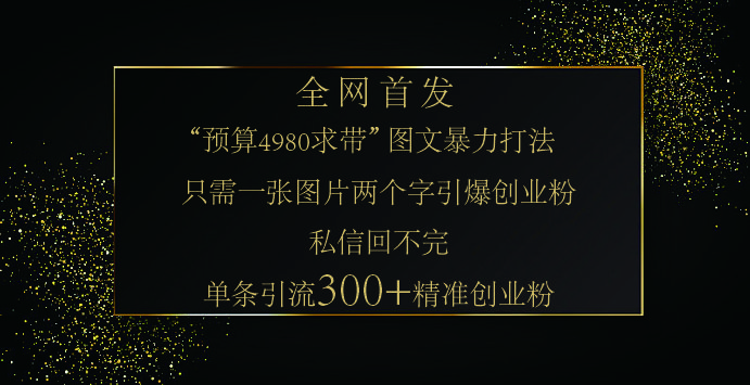 小红书，“预算 4980 带我飞” 的神奇图片引流法，堪称涨粉核武器！只需一张图，就能单条笔记凭借此方法，轻松引流 300 + 精准创业粉！ - 臻优资源网