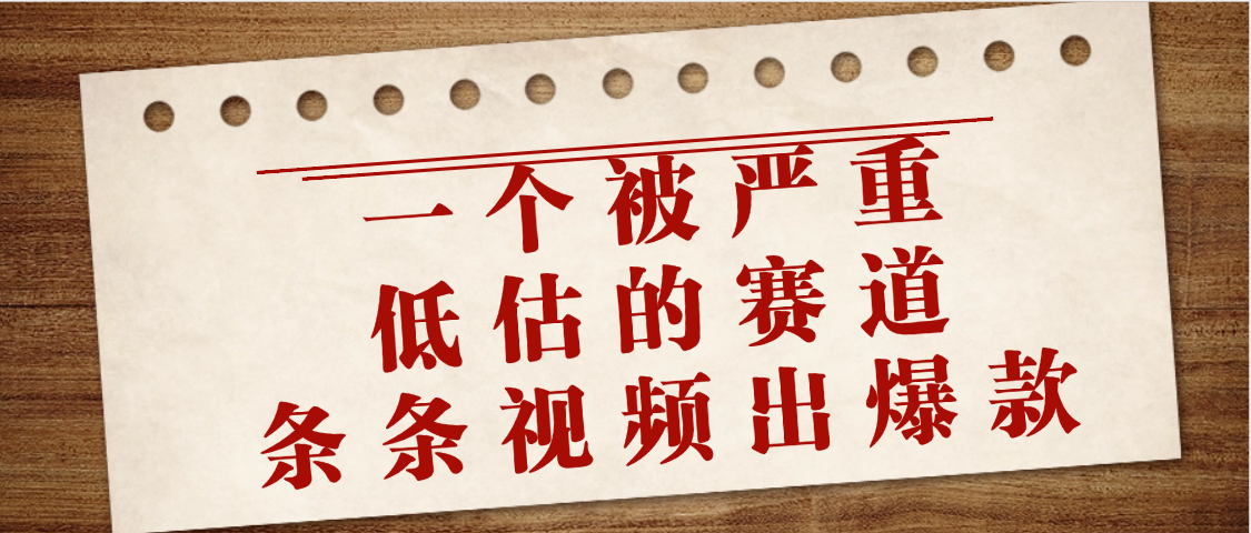 一个被严重低估的赛道,条条视频出爆款,一个月变现3万+ - 臻优资源网