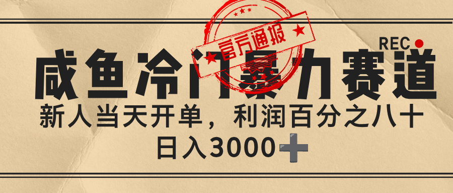 闲鱼，冷门暴力赛道，一单 80%利润，新人轻松日入 3000+ - 臻优资源网