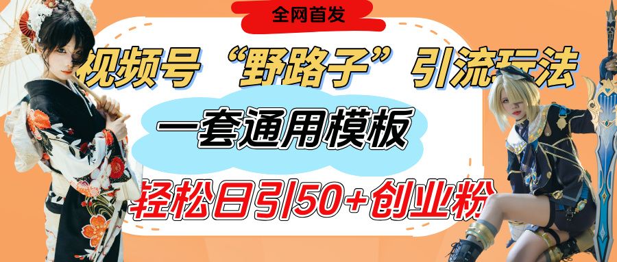 视频号“野路子”玩法，评论区疯狂截流，一套模板单日单号引流50+创业粉 - 臻优资源网