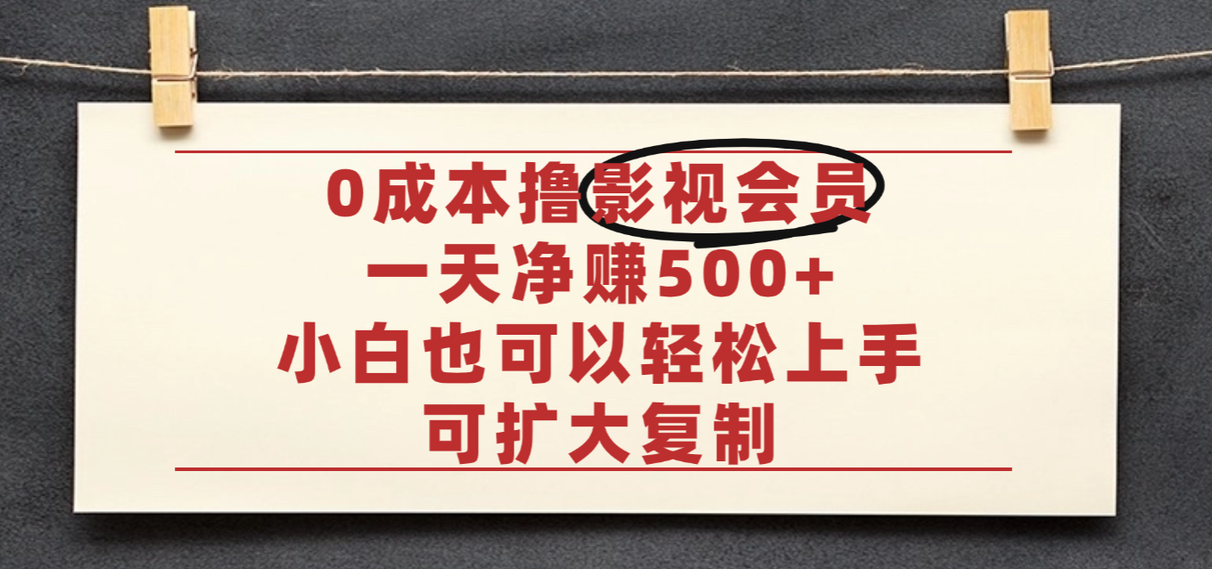 亲测,0成本可批量操作,靠卖影视会员实测月入30000+ - 臻优资源网