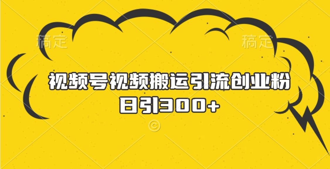 视频号视频搬运引流创业粉，日引300+ - 臻优资源网
