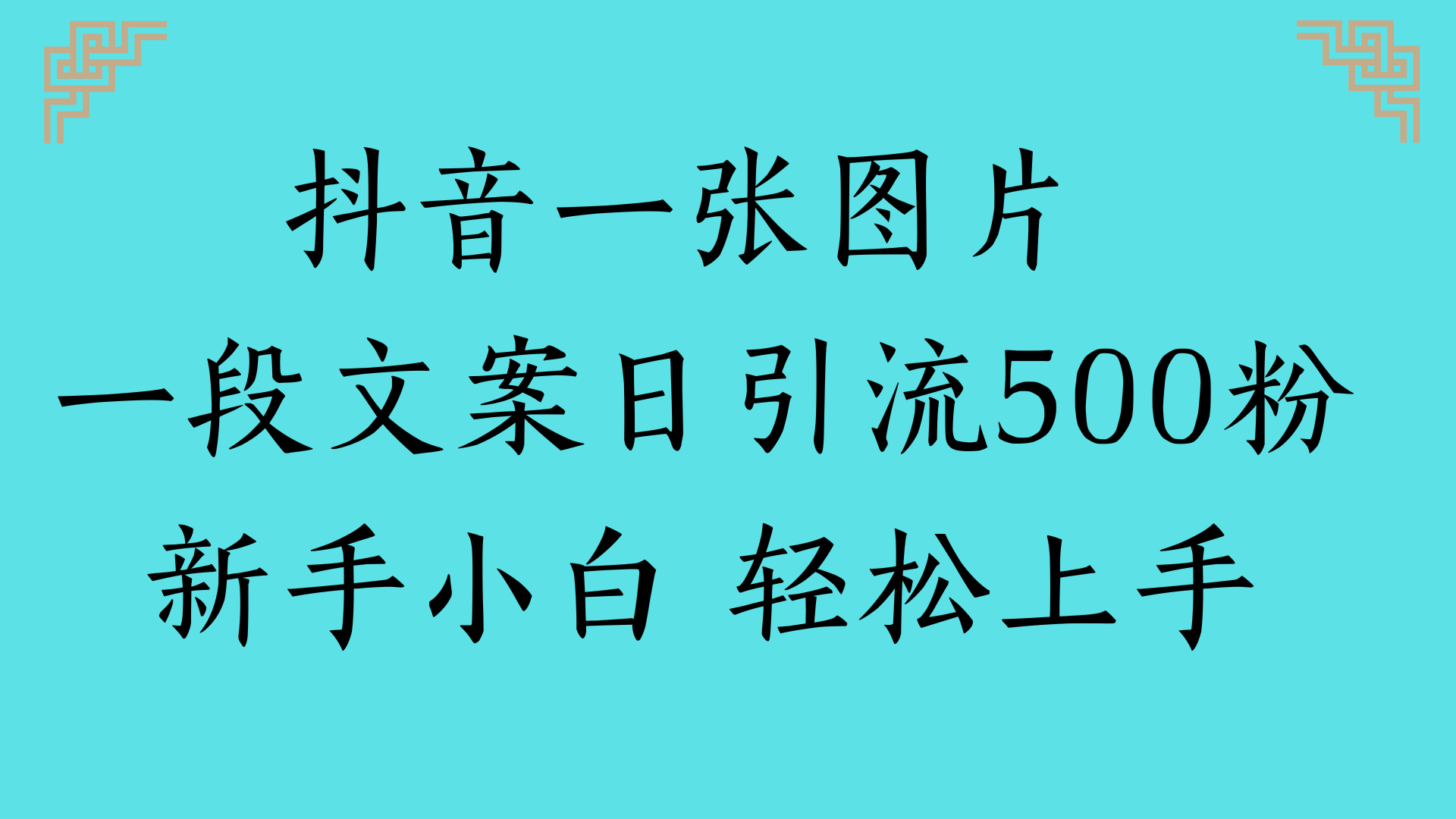 抖音一张图片 一段文案日引流500粉新手小白 轻松上手 - 臻优资源网