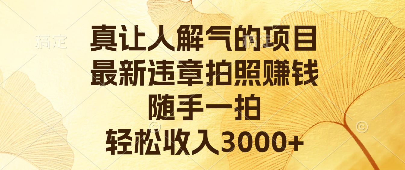 真让人解气的项目，最新违章拍照赚钱，随手一拍，轻松收入3000+ - 臻优资源网