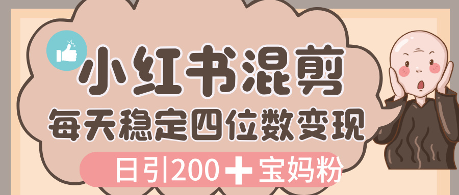价值 3980 的小红书混剪, 虚拟变现,日引 200+宝妈创业粉,每天稳定四位数变现 - 臻优资源网