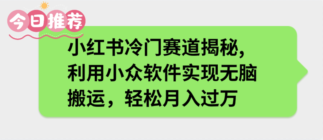 小红书冷门赛道揭秘,利用小众软件实现无脑搬运，轻松月入过万 - 臻优资源网