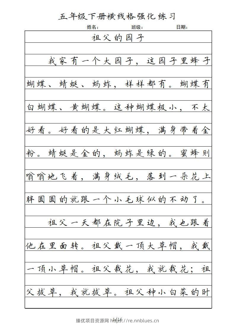 五年级语文下册横线格（部编版） - 臻优资源网