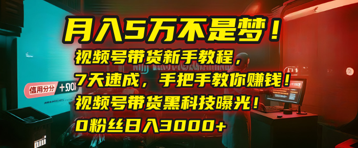 月入5万不是梦!视频号带货新手教程,7天速成,手把手教你赚钱!视频号带货黑科技曝光!0粉丝日入3000+ - 臻优资源网