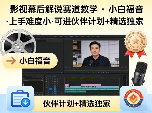 某大佬的影视幕后解说赛道教学，小白福音，上手难度小，可进伙伴计划+精选独家 - 臻优资源网