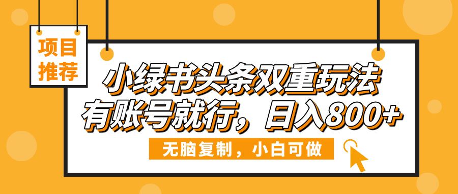 小绿书头条双重玩法，有账号就行，日入800+ - 臻优资源网