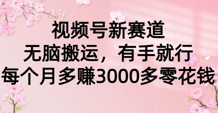 视频号新赛道,无脑搬运,有手就行,每个月多赚3000多零花钱 - 臻优资源网