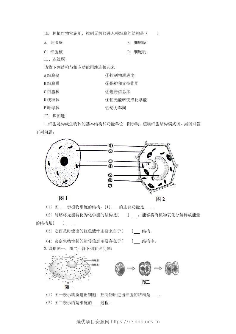 图片[3] - 七年级上册生物第二单元第一章第四节试卷及答案(Word版) - 臻优资源网