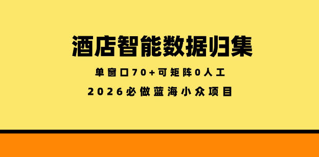 酒店智能数据归集，小众蓝海已经稳定半年之久，单窗口70+零成本矩阵开干【揭秘】 - 臻优资源网