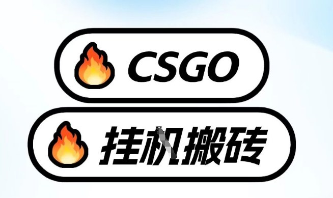 真全网独家CSGO挂G，最新玩法,单日捡漏1K+，不用电脑，不用打游戏【揭秘】 - 臻优资源网