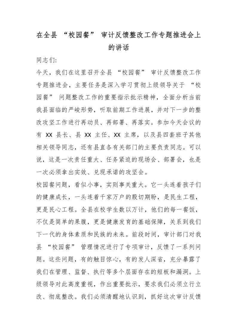 在全县“校园餐”审计反馈整改工作专题推进会上的讲话 - 臻优资源网