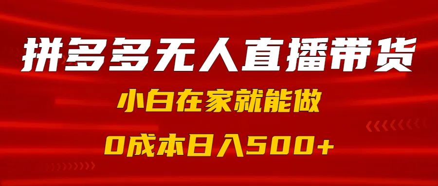拼多多无人直播带货，小白在家就能做，0成本日入500+ - 臻优资源网