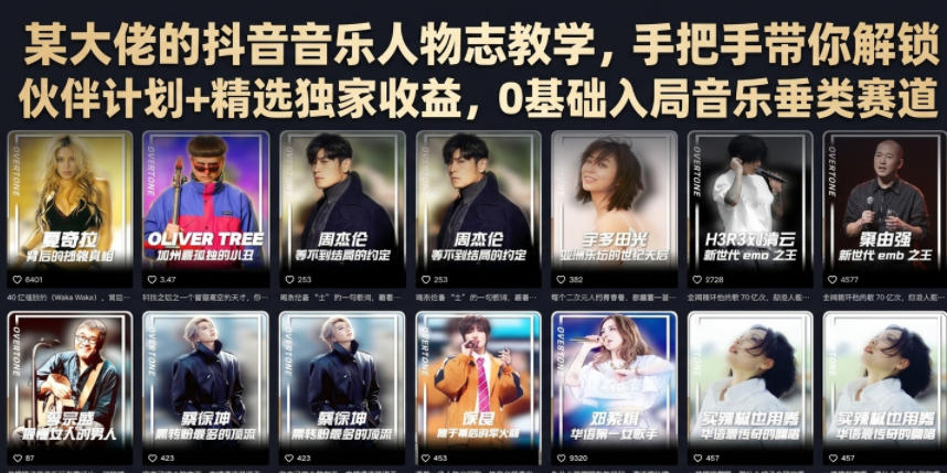某大佬的抖音音乐人物志教学，手把手带你解锁伙伴计划+精选独家收益，0基础入局音乐垂类赛道 - 臻优资源网