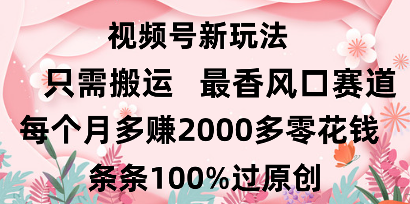 日入2000+，条条100%过原创，视频号最香风口赛道，小白轻松上手 - 臻优资源网