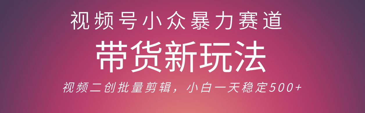 视频号小众暴力赛道,最新带货玩法 小白也能轻松日入500+ 保姆及教程 - 臻优资源网