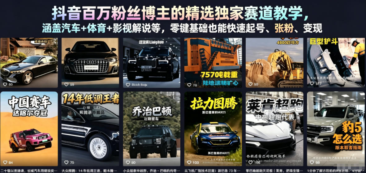 抖音百万粉丝博主的精选独家赛道教学，涵盖汽车+体育+影视解说等，零基础也能快速起号、涨粉、变现（更新0701） - 臻优资源网