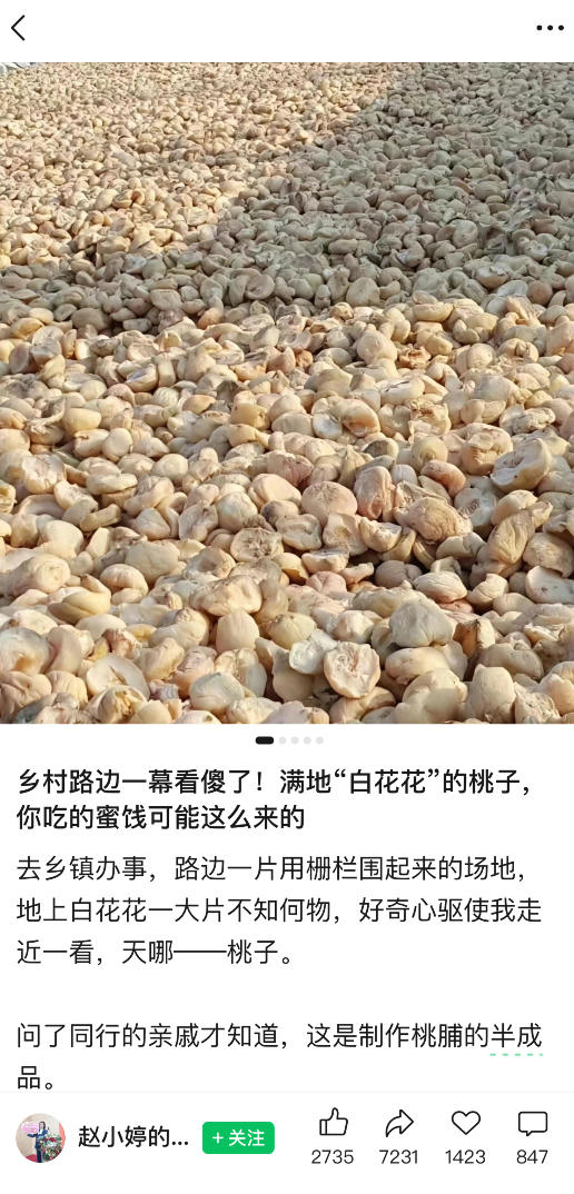 图片[2] - 公众号小绿书贴图项目，赚收益实操玩法，听话照听话照少走90%弯路丨副业可做 - 臻优资源网