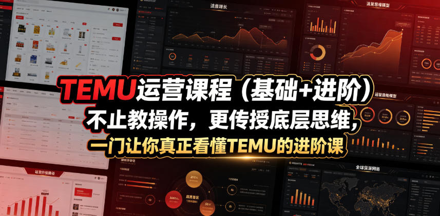 TEMU运营课程（基础+进阶），不止教操作，更传授底层思维，一门让你真正看懂TEMU的进阶课 - 臻优资源网
