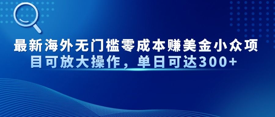 最新海外无门槛美金小众项目可放大操作，单日可达300+ - 臻优资源网