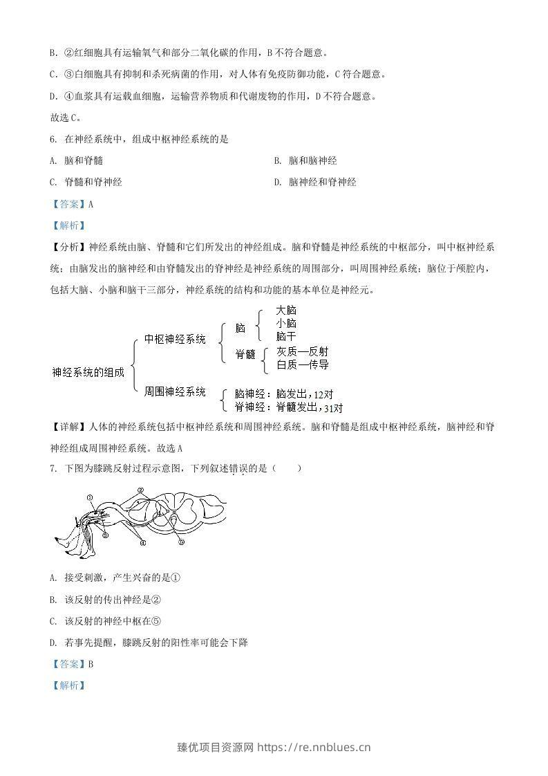 图片[3] - 2024年上海中考生物试题及答案(Word版) - 臻优资源网