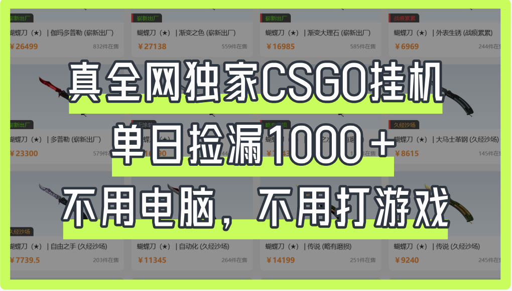 真全网独家CSGO挂机，单日捡漏1000+ - 臻优资源网