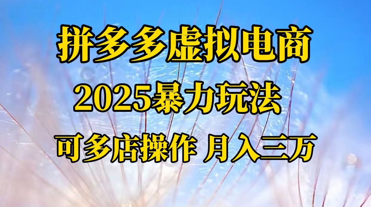 拼多多虚拟电商，不囤货不垫资的虚拟电商 - 臻优资源网