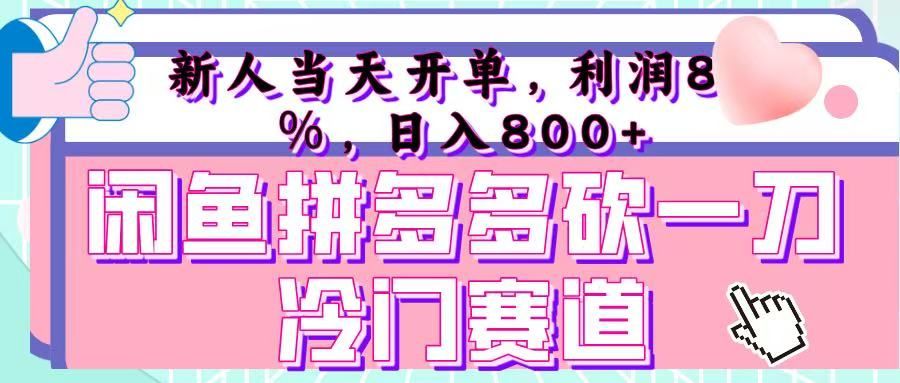 咸鱼拼夕夕砍一刀冷门暴力赛道，新人当天开单，利润百分之八十，日入 800+ - 臻优资源网