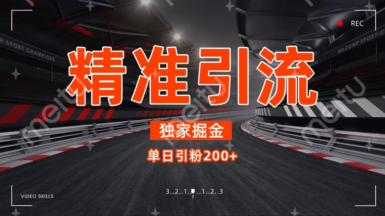 独家野路子精准引流 每日200+ - 臻优资源网