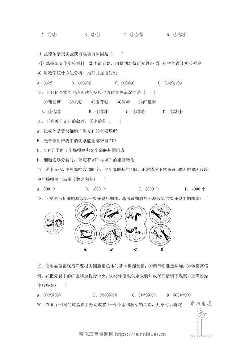 图片[3] - 2010年上海高三部分重点中学二次联考生物真题及答案(Word版) - 臻优资源网