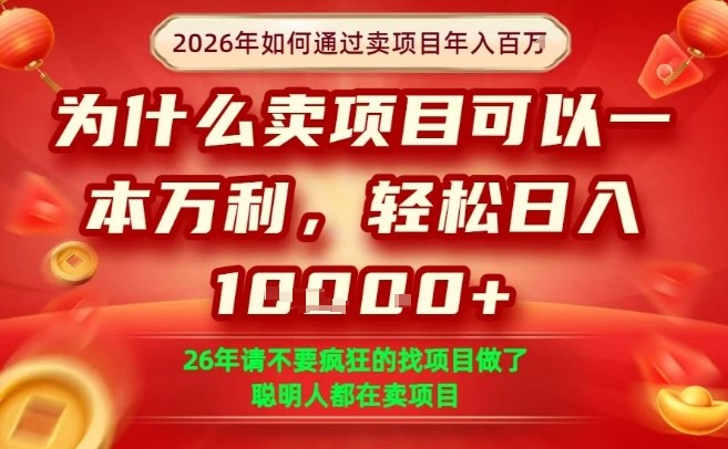 一单净利润1K+，26年想年入100个W，死磕卖项目就够了【揭秘】 - 臻优资源网