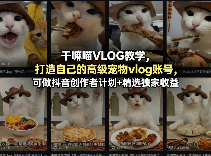 干嘛喵VLOG教学，打造自己的高级宠物vlog账号，可做抖音创作者计划+精选独家收益 - 臻优资源网