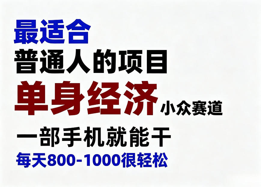 身经济小众赛道，一部手机就能干，每天搞个800-1000很轻松，最适合普通人的项目【揭秘】 - 臻优资源网