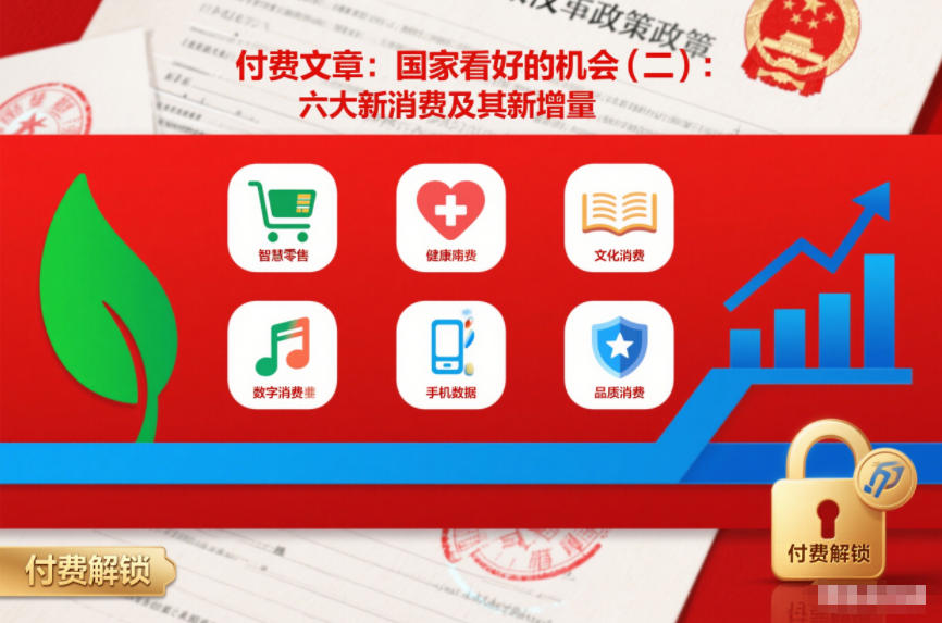 付费文章：国家看好的机会(二)：六大新消费及其新增量 - 臻优资源网