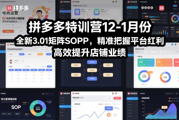 拼多多特训营12-1月份，全新3.01矩阵Sop，精准把握平台红利，高效提升店铺业绩 - 臻优资源网