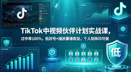 TikTok中视频伙伴计划实战课，过中率100%，低封号+播放量賺收益，个人矩阵均可做 - 臻优资源网