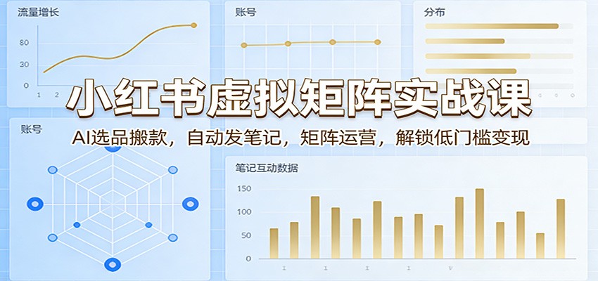 小红书虚拟矩阵实战课：AI选品搬款，自动发笔记，矩阵运营，解锁低门槛变现 - 臻优资源网