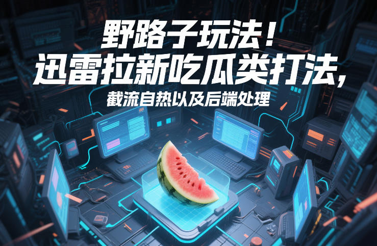 野路子玩法！迅雷拉新吃瓜类打法，截流自热以及后端处理 - 臻优资源网