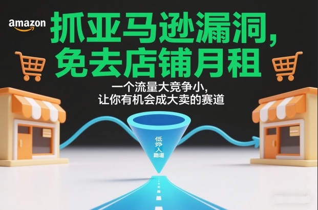 抓亚马逊漏洞，免去店铺月租，一个流量大竞争小，让你有机会成大卖的赛道 - 臻优资源网