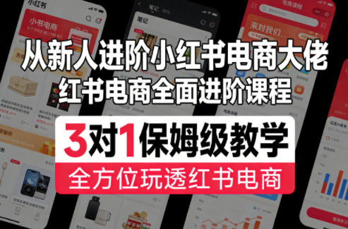 从新人进阶小红书电商大佬，红书电商全面进阶课程，3对1保姆级教学，全方位玩透红书电商 - 臻优资源网