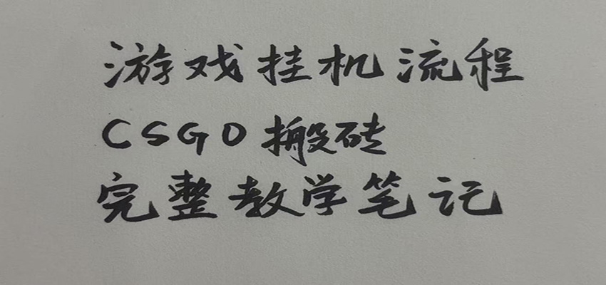 游戏挂机全流程笔记分享，CSGO游戏搬砖，小白看了当天学会见收益 - 臻优资源网
