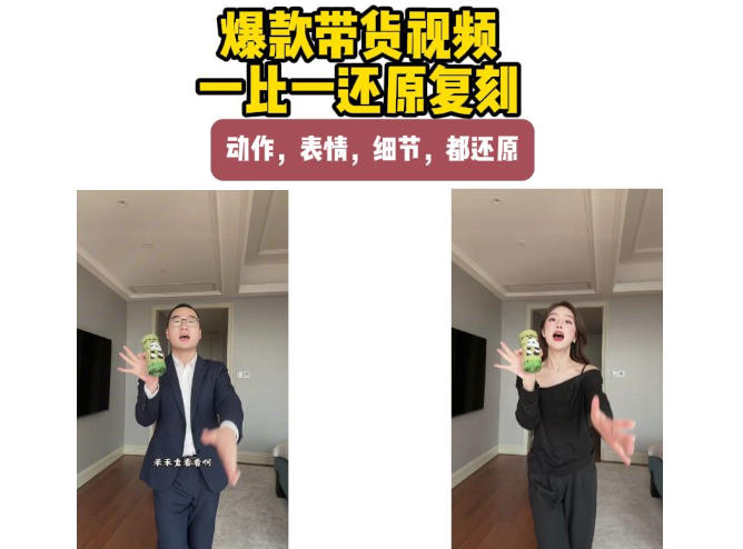 AI带货视频复刻，一比一还原加二创，动作，表情，细节，都还原，新手也能直接套用 - 臻优资源网