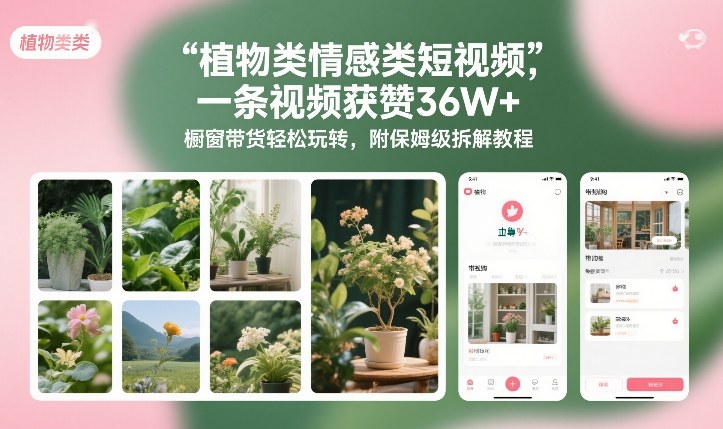植物类情感类短视频，一条视频获赞36W+，橱窗带货轻松玩转，附保姆级拆解教程 - 臻优资源网