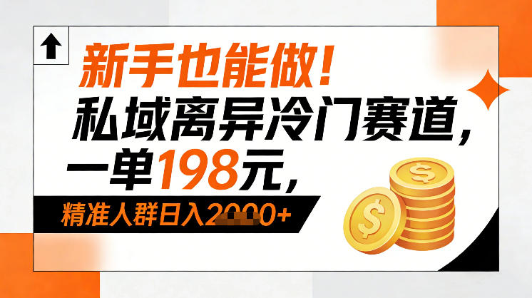 新手也能做！私域离异冷门赛道，一单198，精准人群日入1k+ - 臻优资源网